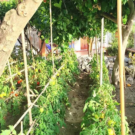 Mennulita Lipari (Isola Lipari)