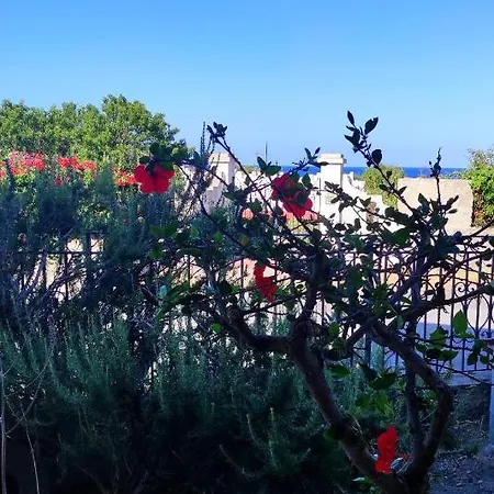 Mennulita * Lipari (Isola Lipari)