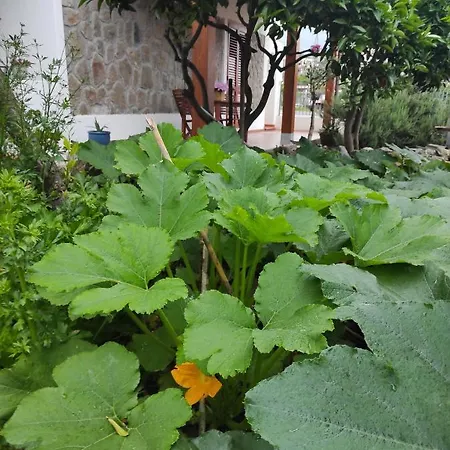 Mennulita Appartement *