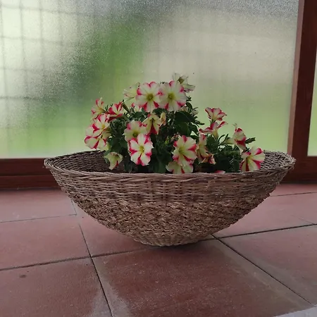 Appartement Mennulita