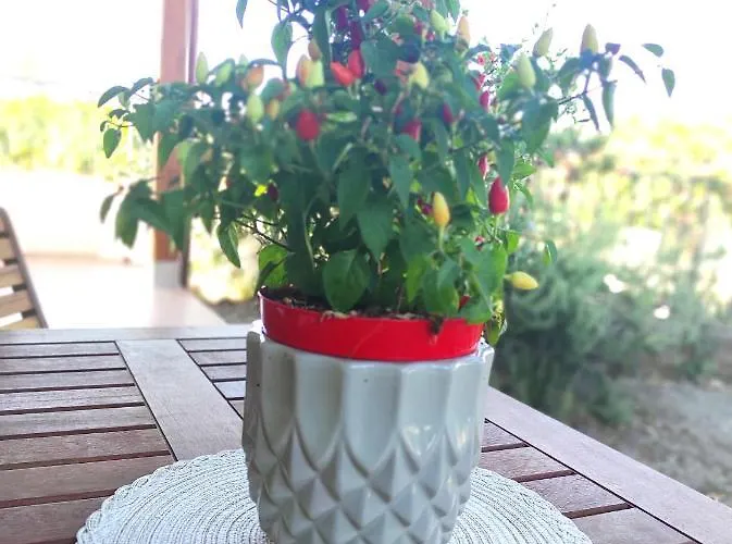 Mennulita Lipari (Isola Lipari)