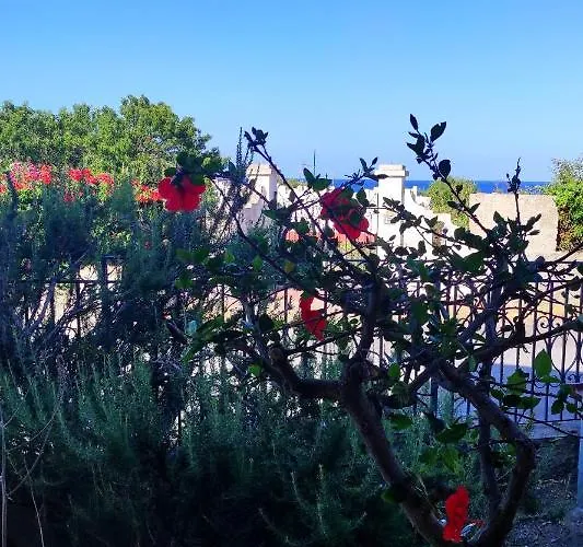 Mennulita * Lipari (Isola Lipari)