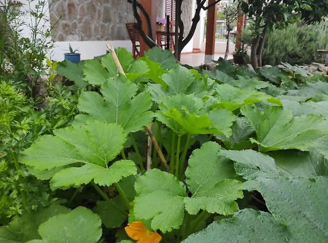 Mennulita Apartamento *