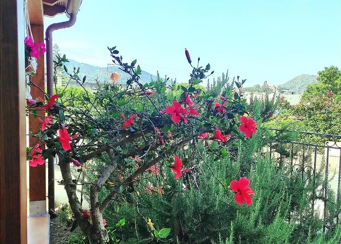 Apartamento Mennulita *