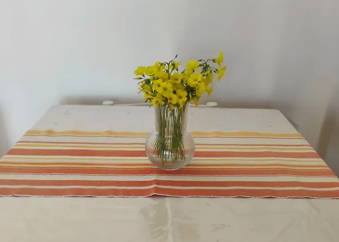 Apartamento Mennulita