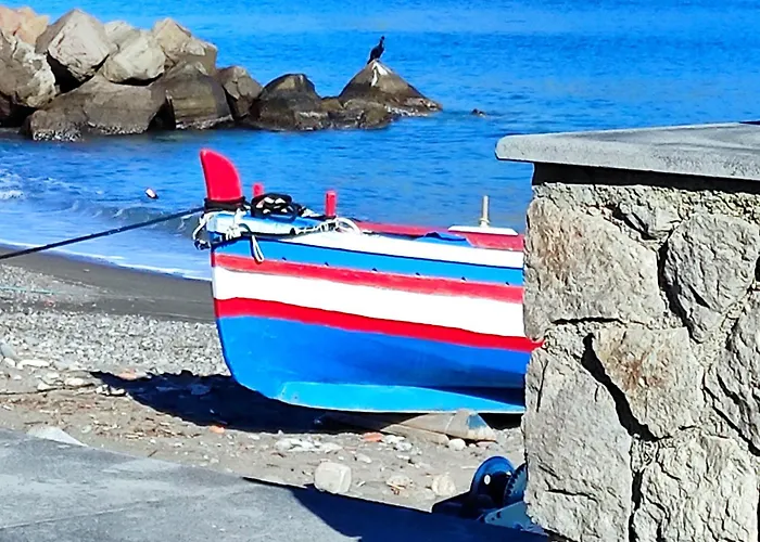 Apartamento Mennulita