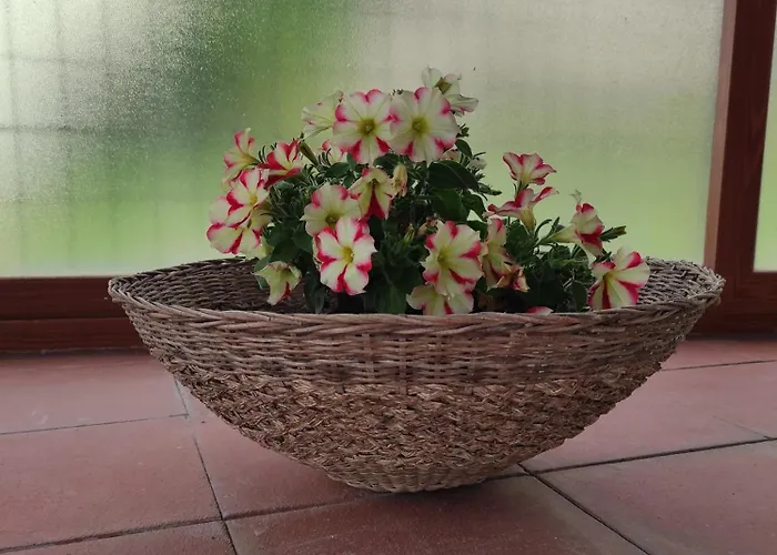 Apartamento Mennulita