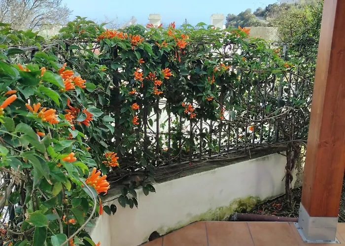 Apartamento Mennulita